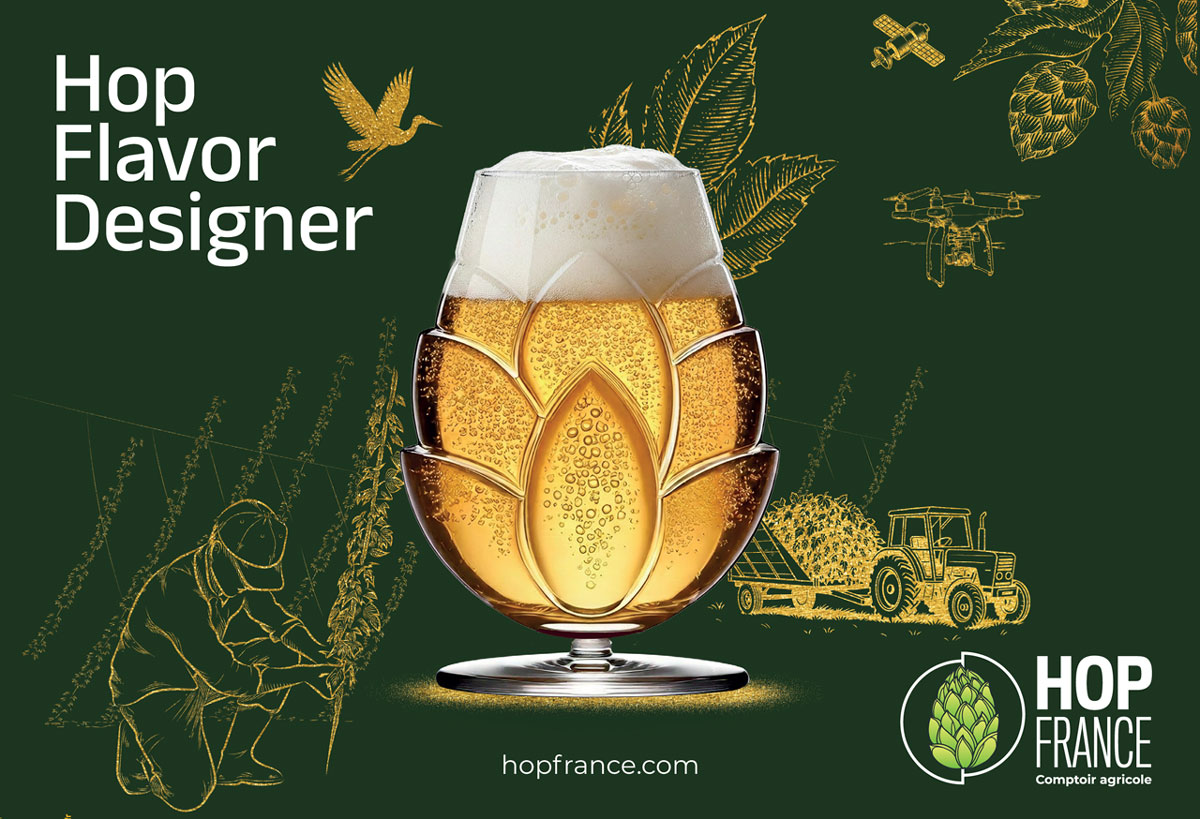 R-évolution Hop France : du houblon à la bière, une nouvelle approche pour révéler les Composés Aromatiques