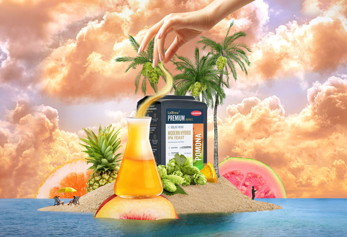 levure lalbrew pomona ipa biere houblonnee fruit trouble hazzy