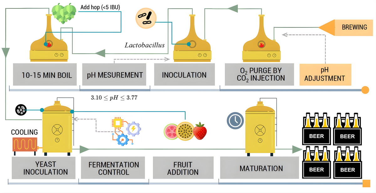 process production biere catharina sour